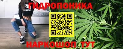 ГАЛЛЮЦИНОГЕННЫЕ ГРИБЫ Вязьма