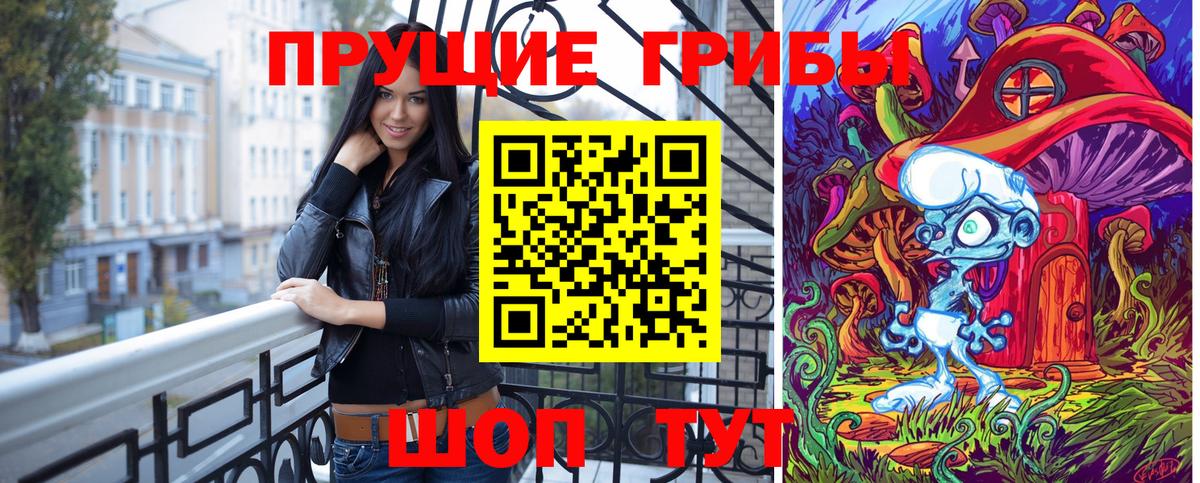 Псилоцибиновые грибы Psilocybine cubensis Великие Луки