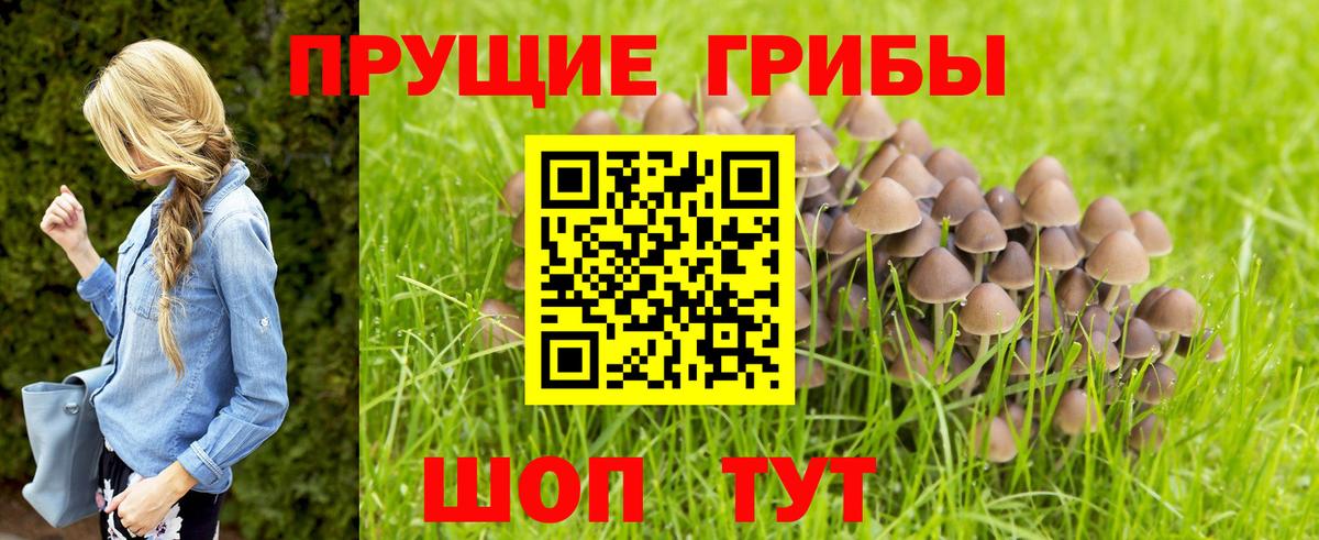 Галлюциногенные грибы Psilocybine cubensis  Галлюциногенные грибы ЛСД  Вход с VPN  Великие Луки 