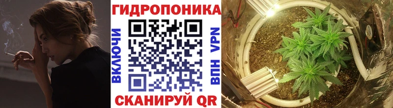 Канабис OG Kush  Великие Луки 